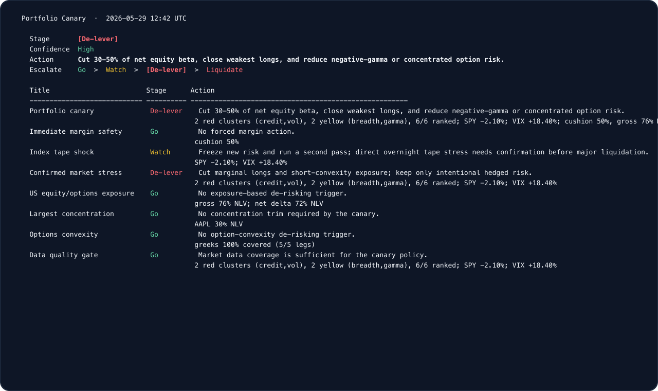 synthetic ibkr canary terminal output